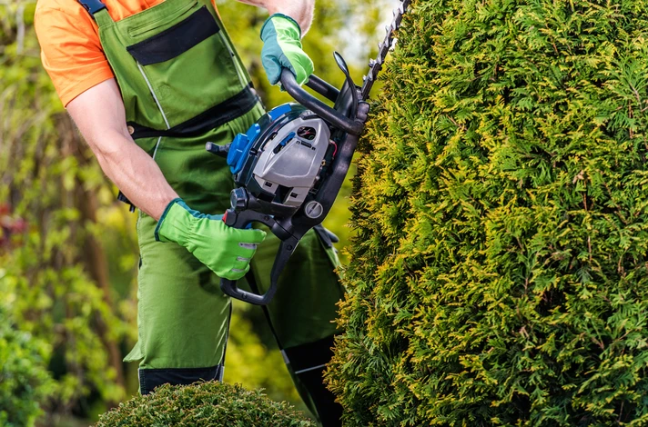 Extérieur, jardinier professionnel en tenue haute visibilité verte taille une haie de conifères avec un taille-haie thermique à moteur