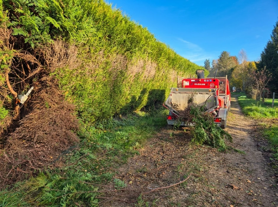 Broyage de végétaux en bordure d'un chemin rural
