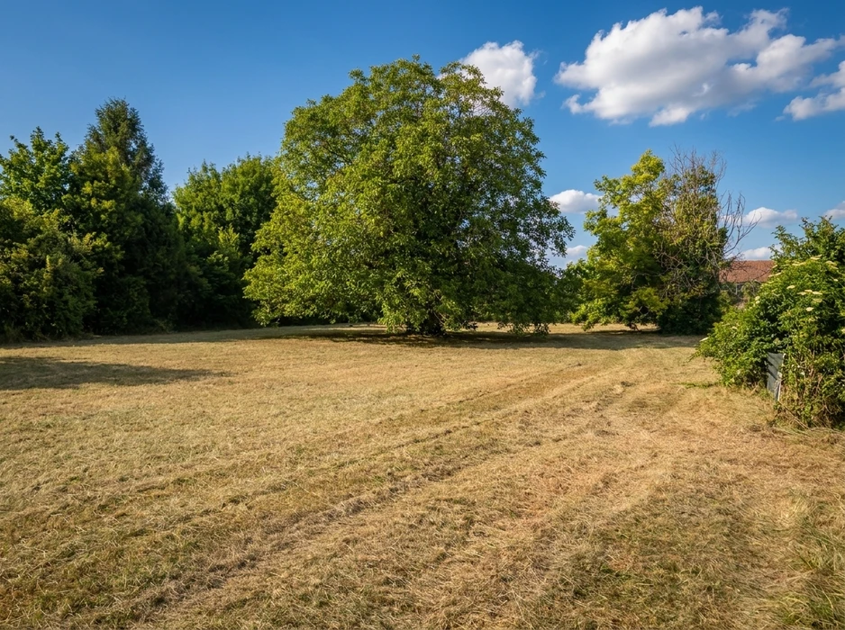 Jardin en cours d'aménagement, vue extérieure