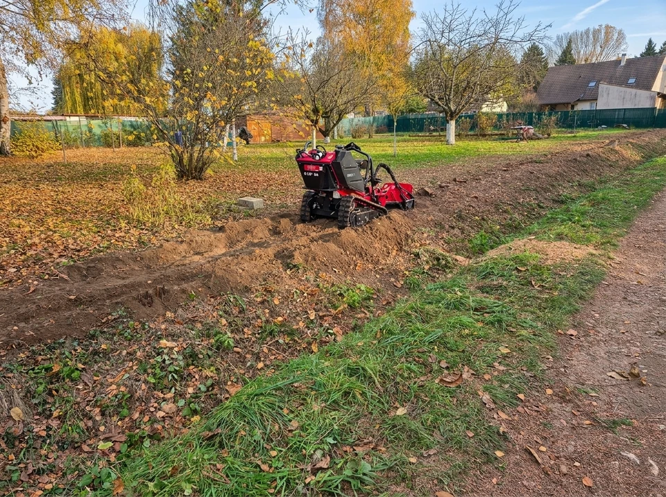 Jardin privatif entouré d'une haie taillée de type if ou thuya, haute et dense, formant une clôture végétale